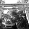L1024093