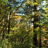 PA190010