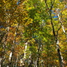 PA190015