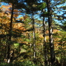 PA190036
