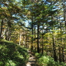 PA190060