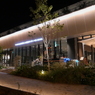 Nakanoshima Night Walkng ＜＜大阪中之島美術館、、、横＞