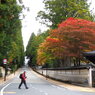 高野山紅葉１