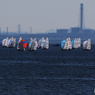 東京湾　いちご一会 とちぎ国体  [千葉市稲毛ヨットハーバー]  セーリング
