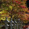 高野山　へいわばし付近の紅葉