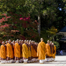 高野山　金堂前の紅葉