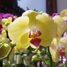 IMGP0828