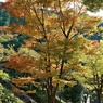 山間に秋色深まり行く
