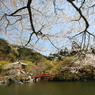醍醐寺②