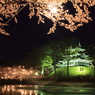 夜桜　１