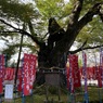 秩父今宮神社