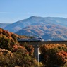 紅葉の河を渡る