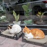 美容院のお兄ちゃんたちが作ってくれた（発車しない）寝台列車～
