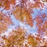11月の空