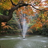 噴水と紅葉