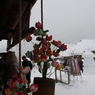 PHOTO13