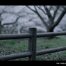 陽も落ちて。。。