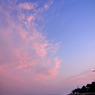 _DSC0742