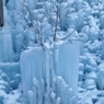 雪の女王