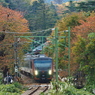 列車は もみじ「海里」紅葉は「桜」もみじ