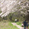 桜舞い散る中を・・・