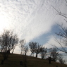 初冬の雲