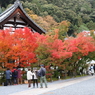 永観堂禅林寺①