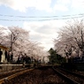 さくら駅