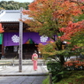 永観堂禅林寺 本堂②