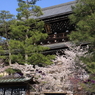 知恩院　三門