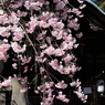 岡崎神社