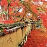 土塀と紅葉　Ⅱ