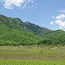 小田代ヶ原全景
