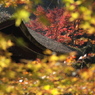 国宝長寿寺の本堂