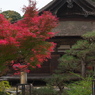 善水寺の彩り