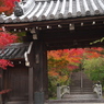 西鷹寺の彩り