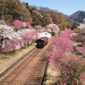 神戸駅の春