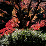 IMGP-風景-8279（秋の静寂）