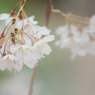 20110402-IMG_0016