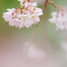 20110402-IMG_0026