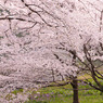 20110410-IMG_0001