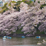 20110410-IMG_0016