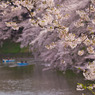 20110410-IMG_0021