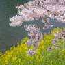 20110410-IMG_0062