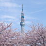 20110410-IMG_0184