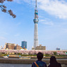 20110410-IMG_0210
