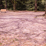 20110416-IMG_0017