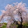 20110416-IMG_0052