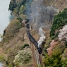 祝　大井川鉄道復活！