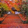 晩秋の安楽寺